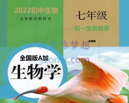 2022初中数学初一数学春季全国版