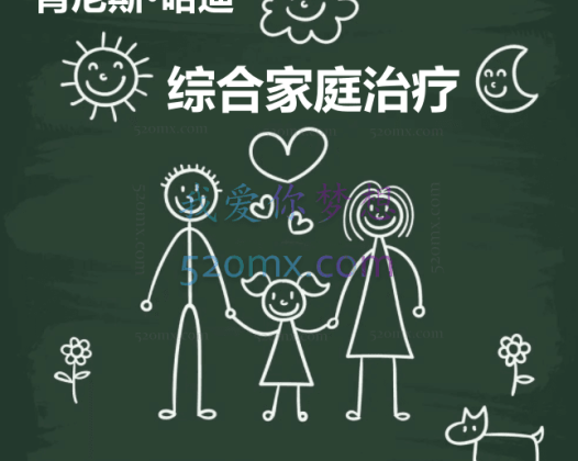 肯尼斯·哈迪：综合家庭治疗4集视频（中文翻译）