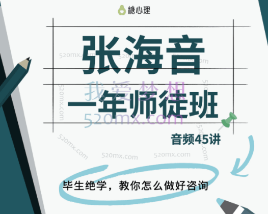 张海音：师徒班 微课45讲 音频+视频+课件