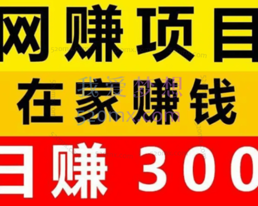 杨小基：日赚100、日赚300