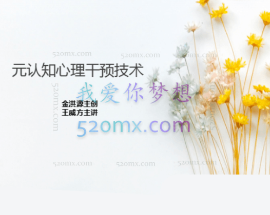 金洪源:第八十一届元认知心理干预技术全套