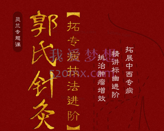 郭氏:针灸·拓专病技法进阶