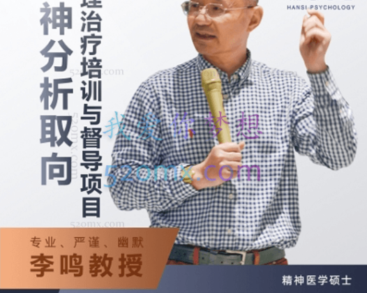 李鸣：精分析视角下的治疗主题（28讲)