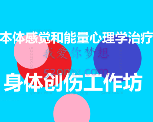 本体感觉和能量心理学治疗身体创伤工作坊