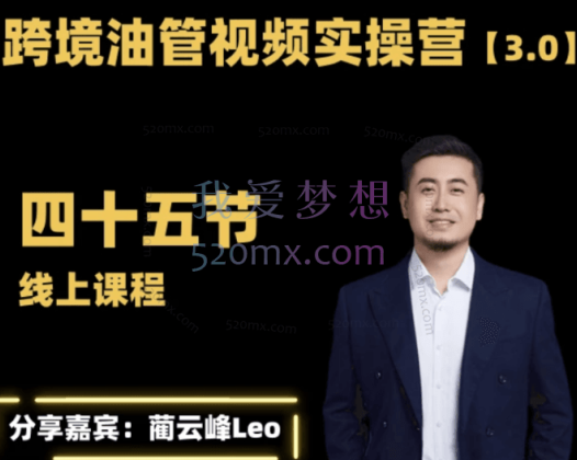 【黑松与山】蔺云峰Leo:油管YouTube线上运营实操课跨境电商YouTube运营
