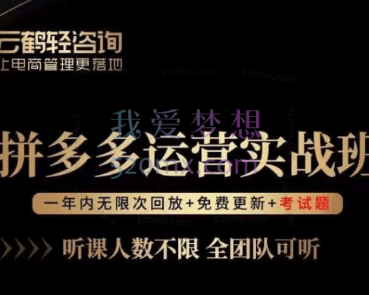 老陶电商：拼多多运营实战班流量底层逻辑，免费+付费流量玩法