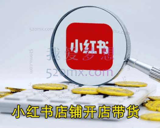 小红书店铺开店带货，0粉丝新手也能跑通全流程（6节课+爆款公式）