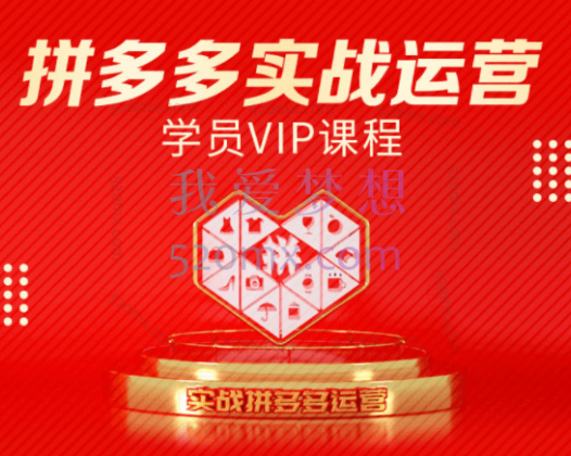 推易网红电商学院：拼多多实战运营学员VIP课程