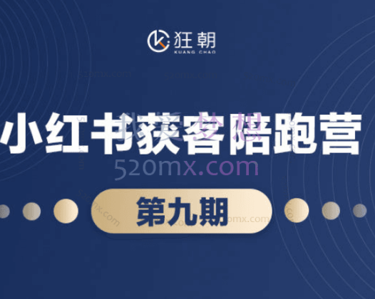 盗坤：第九期小红书获客陪跑营