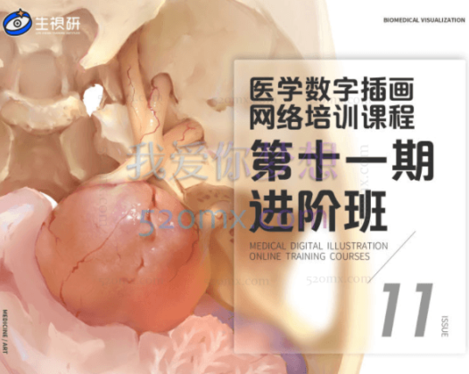 周舒扬：医学插画网络班·第十一期·进阶班