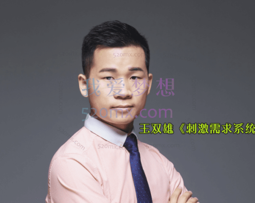 王双雄《刺激需求系统》