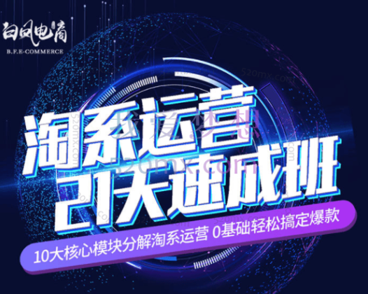 白凤电商:24期淘系运营21天速成班之新年淘系新策略2024.2