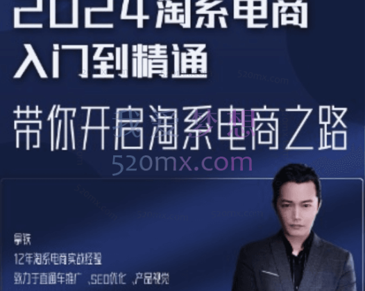 圆丰清电商:淘系电商入门到精通-运营进阶篇,带你开启淘系电商之路