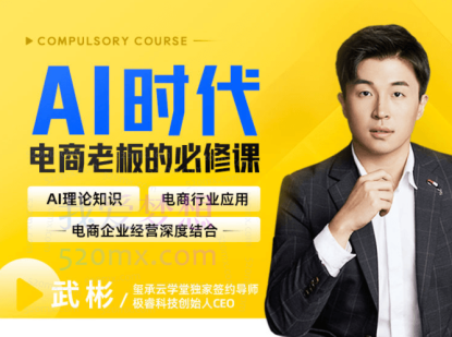 AI时代，电商老板的必修课，理论+实操+工具，驱动电商销售转化。