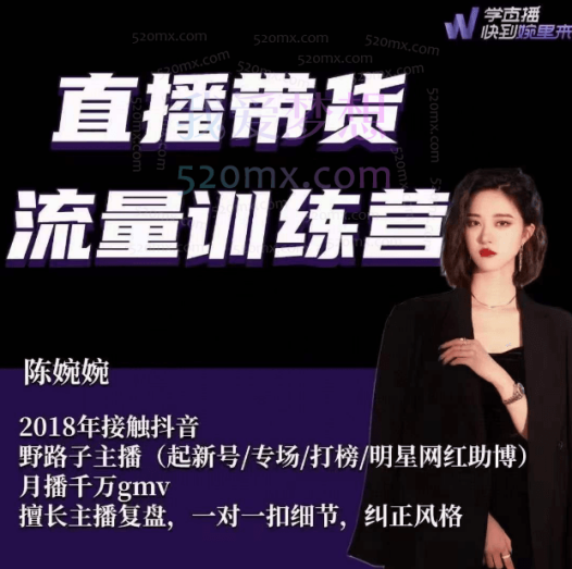 陈婉婉:直播带货流量训练营