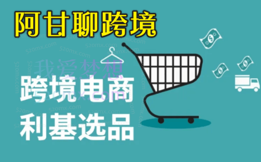 阿甘聊跨境:跨境电商选品运营案例分享2024-2025年