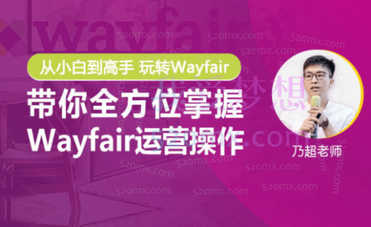 乃超Wayfair 0-1挖金课程:快速掌握Wayfair平台运营技巧与出单技巧