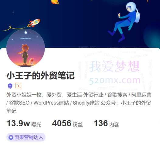 小王子的外贸笔记-独立站谷歌SEO系列教程