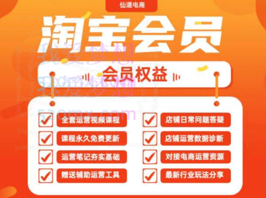 2024仙道电商：淘宝运营会员课程+辅导+诊断