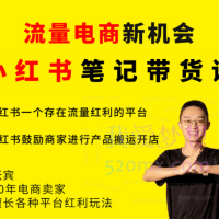 猫课张宾小红书笔记带货课，快速搭建小红书模型，解决流量贵、利润低的问题.