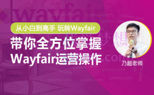 乃超Wayfair 0-1挖金课程:快速掌握Wayfair平台运营技巧与出单技巧