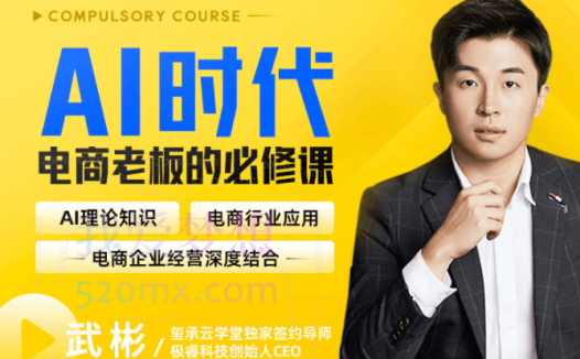 AI时代,电商老板的必修课,理论+实操+工具,驱动电商销售转化。