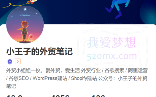 小王子的外贸笔记-独立站谷歌SEO系列教程