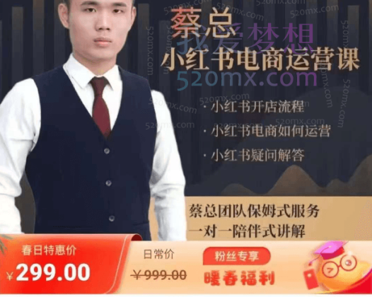 潮汕蔡总·小红书电商运营课,从开小红薯到运营