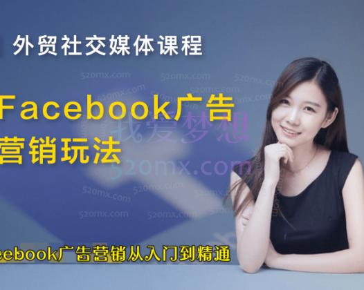 凌波微步教育:Facebook广告营销从入门到精通-初中高