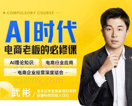 AI时代，电商老板的必修课，理论+实操+工具，驱动电商销售转化。