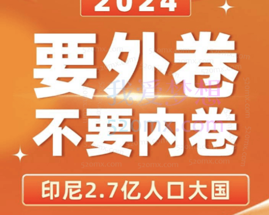 印尼出海经商课,签证、印尼产业、税务制度、电商、法规、注册公司、环境和机遇、人力，一条龙课程