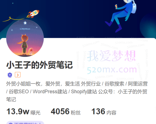 小王子的外贸笔记-独立站谷歌SEO系列教程