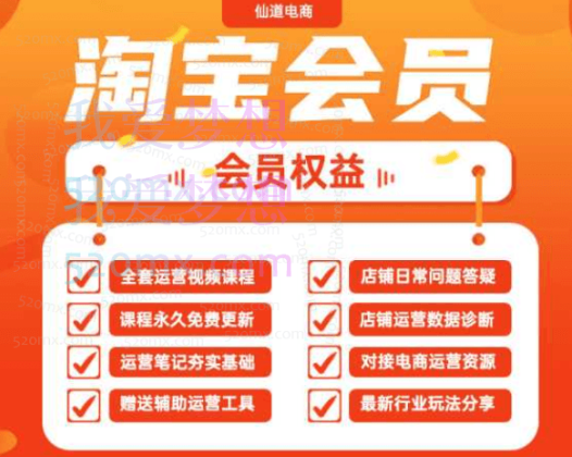 2024仙道电商:淘宝运营会员课程+辅导+诊断