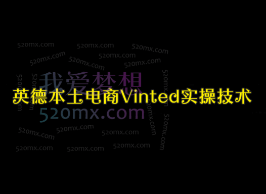 英德本土电商Vinted实操技术