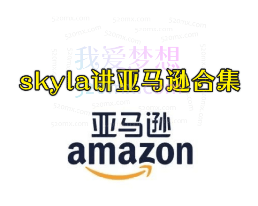 skyla主讲亚马逊卖家百万利润的全流程合集