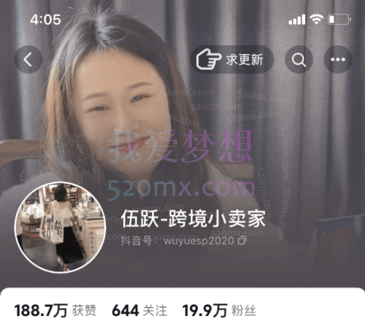 伍跃跨境小卖家:跨境拼多多TEMU带入门实操指引