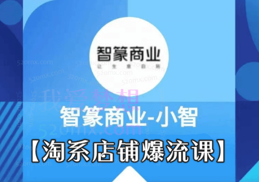 智篆商业【淘系店铺爆流课】