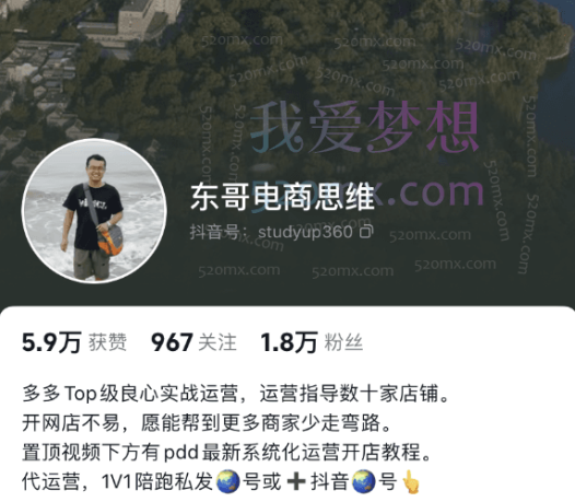 东哥电商思维:拼多多运营核心思路与实操教程(纯课程)