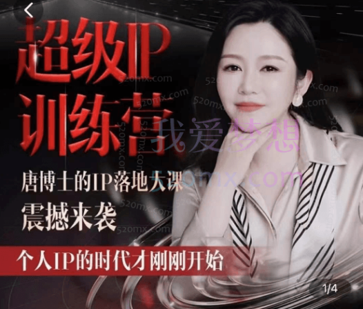超级IP训练营(唐博士的IP大课)