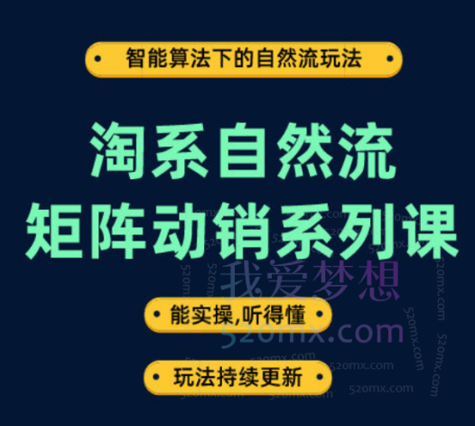 王天真淘系自然流矩阵动销系列课