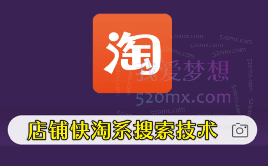 店埔快淘系搜索技术-店捕快年度学员