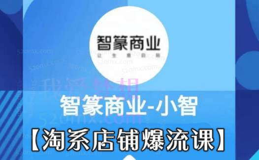 智篆商业【淘系店铺爆流课】