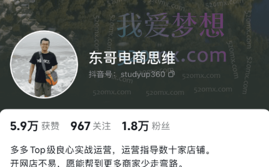 东哥电商思维:拼多多运营核心思路与实操教程(纯课程)