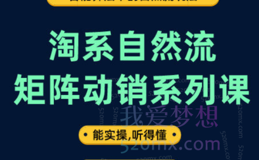 王天真淘系自然流矩阵动销系列课