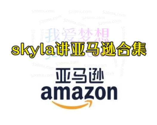 skyla主讲亚马逊卖家百万利润的全流程合集