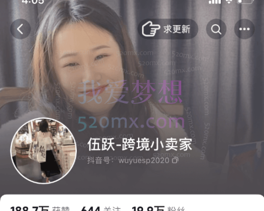 伍跃跨境小卖家:跨境拼多多TEMU带入门实操指引