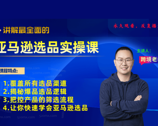 跨境老鸟Mike亚马逊选品实操课程,手把手教你快速掌握亚马逊选品的技巧