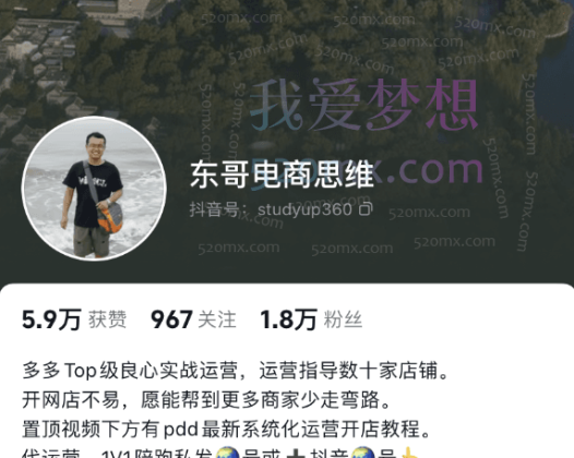 东哥电商思维:拼多多运营核心思路与实操教程(纯课程)