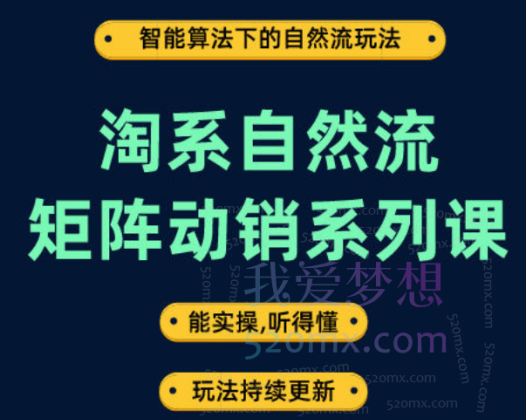 王天真淘系自然流矩阵动销系列课