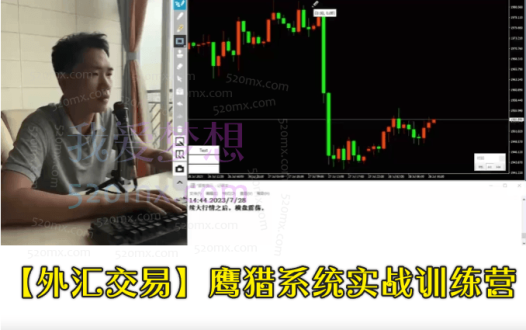 外汇交易鹰猎系统实战训练营